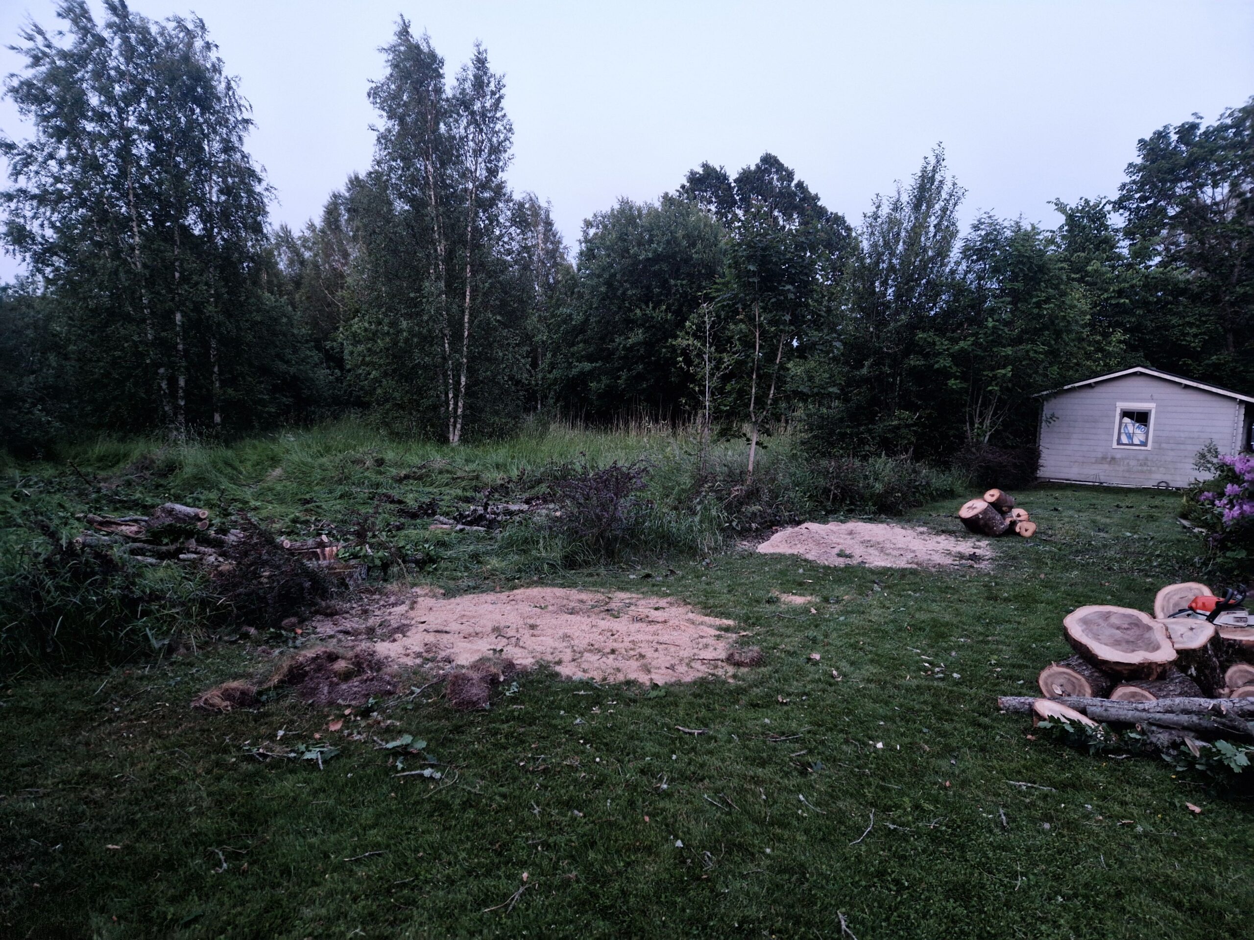 Gräsmatta efter stubbfräsning i Örebro