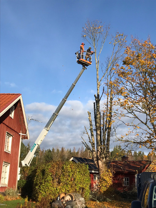 Hamling från skylift i Mulhyttan